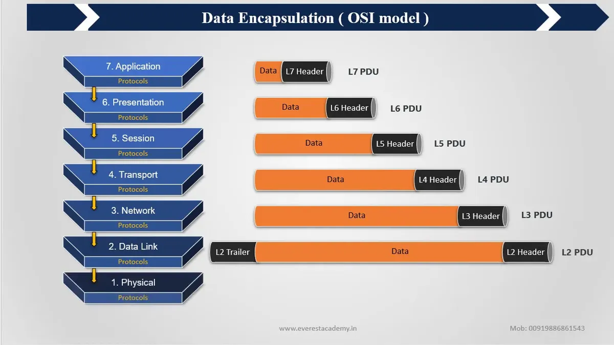 THE OSI MODEL AND ENCAPSULATION — Introduction